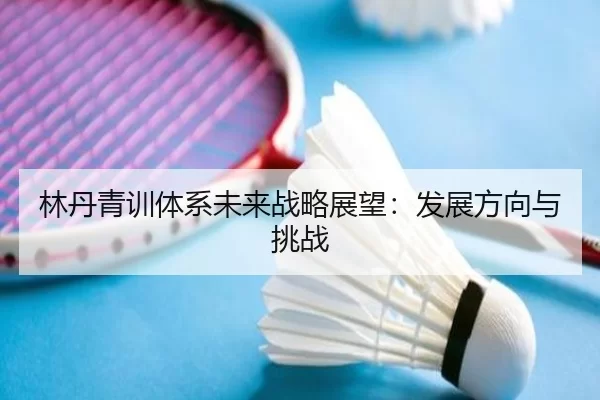 林丹青训体系未来战略展望：发展方向与挑战