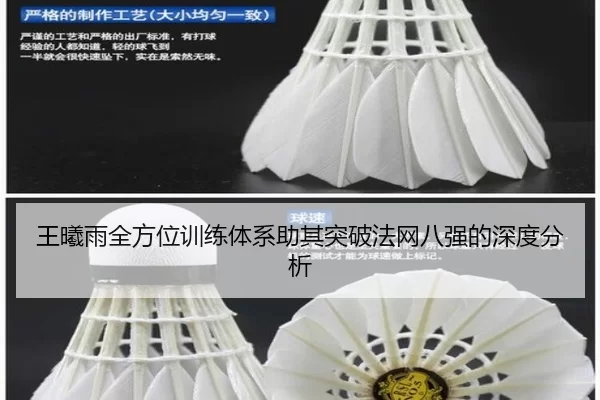王曦雨全方位训练体系助其突破法网八强的深度分析